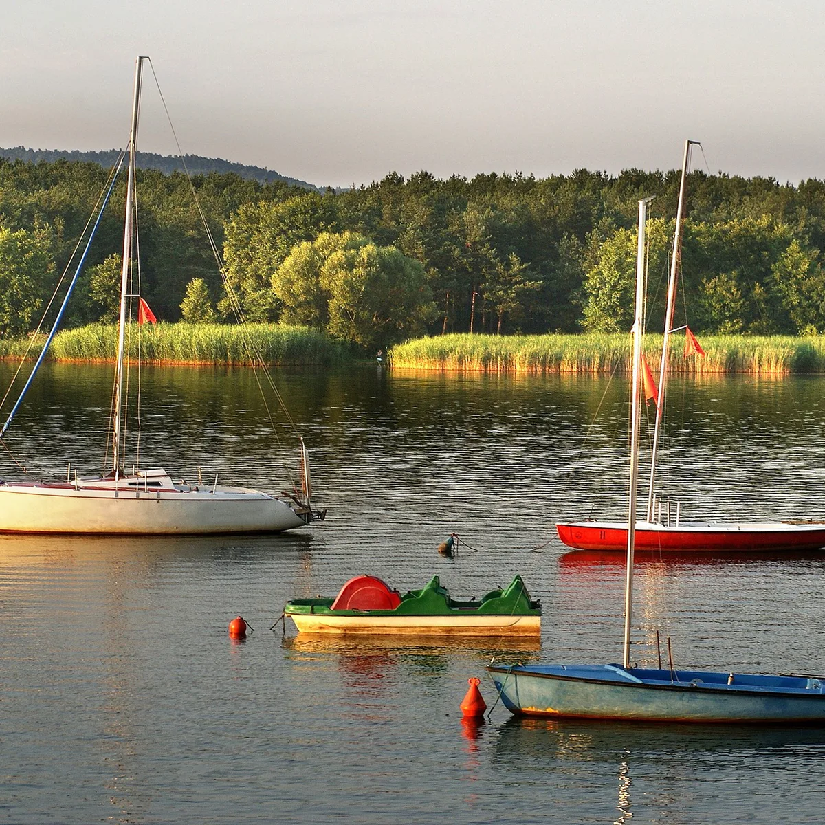 Domki Wilków - atrakcje