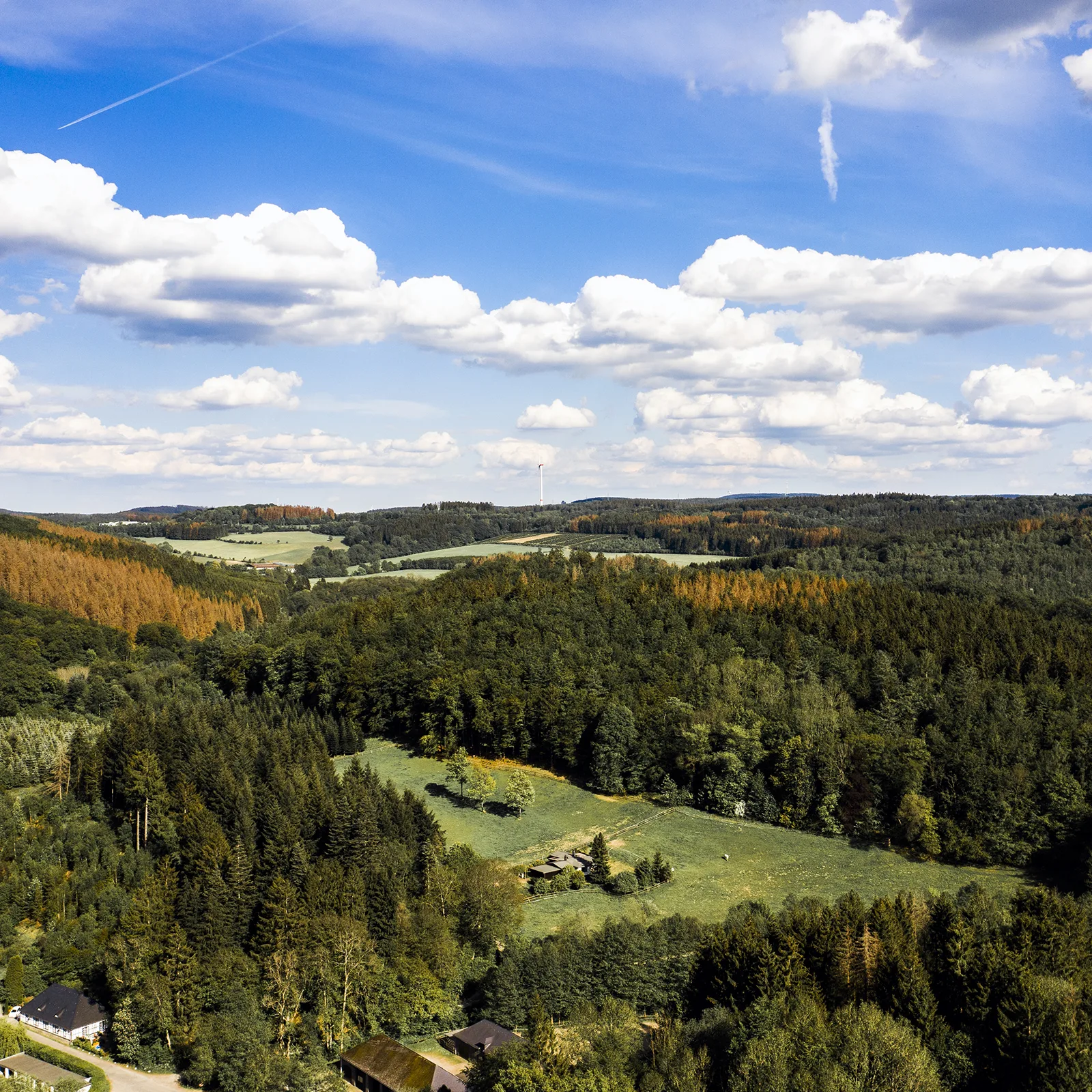 Domki Wilków - zdjęcia